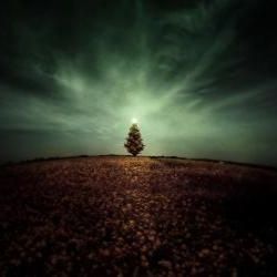 de kunst van wel kerstboom